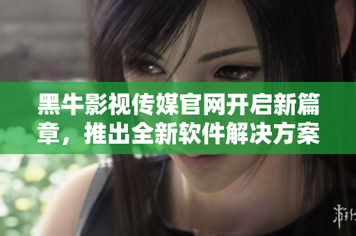 黑牛影視傳媒官網(wǎng)開啟新篇章，推出全新軟件解決方案
