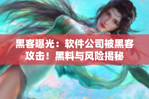 黑客曝光：軟件公司被黑客攻擊！黑料與風險揭秘