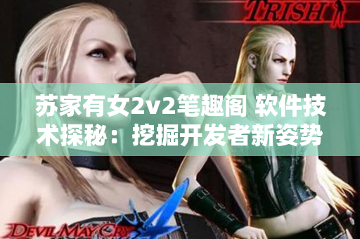 蘇家有女2v2筆趣閣 軟件技術(shù)探秘：挖掘開發(fā)者新姿勢