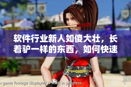 軟件行業(yè)新人如傻大壯，長著驢一樣的東西，如何快速提高技能？