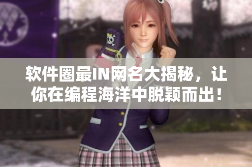 軟件圈最IN網(wǎng)名大揭秘，讓你在編程海洋中脫穎而出！
