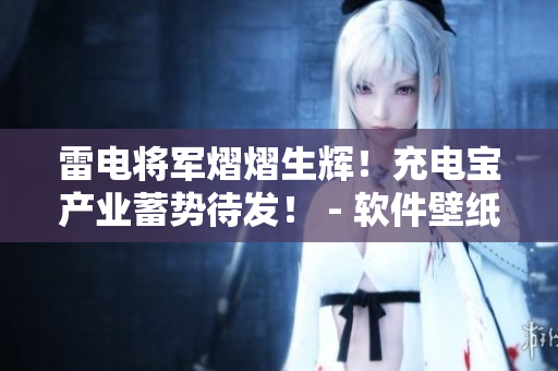 雷電將軍熠熠生輝！充電寶產(chǎn)業(yè)蓄勢待發(fā)！ - 軟件壁紙高清分享