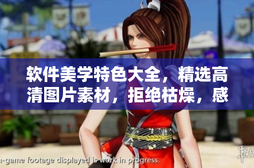 軟件美學(xué)特色大全，精選高清圖片素材，拒絕枯燥，感受軟件之美