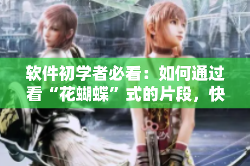 軟件初學者必看：如何通過看“花蝴蝶”式的片段，快速學習編程技能？