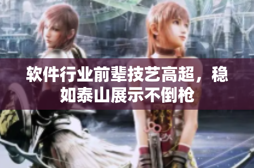 軟件行業(yè)前輩技藝高超，穩(wěn)如泰山展示不倒槍
