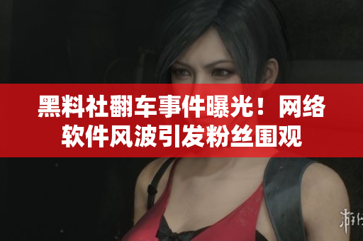 黑料社翻車(chē)事件曝光！網(wǎng)絡(luò)軟件風(fēng)波引發(fā)粉絲圍觀(guān)