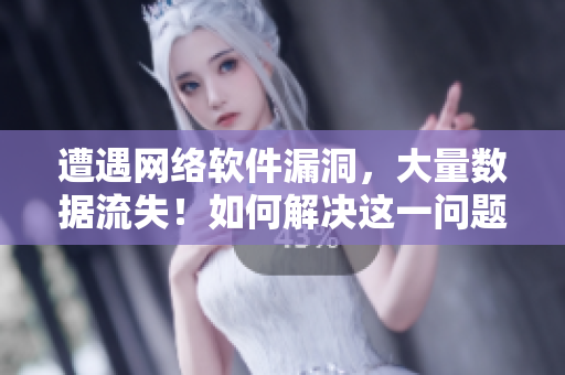 遭遇網(wǎng)絡(luò)軟件漏洞，大量數(shù)據(jù)流失！如何解決這一問(wèn)題？