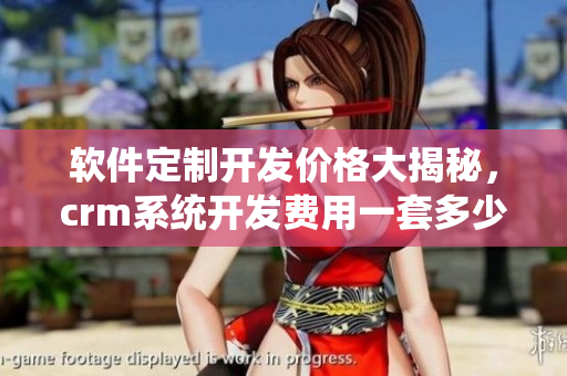 軟件定制開(kāi)發(fā)價(jià)格大揭秘，crm系統(tǒng)開(kāi)發(fā)費(fèi)用一套多少錢(qián)？