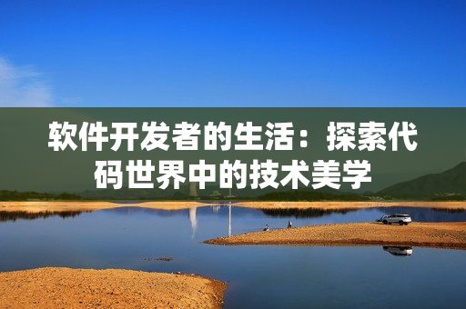 軟件開(kāi)發(fā)者的生活：探索代碼世界中的技術(shù)美學(xué)