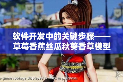 軟件開發(fā)中的關鍵步驟——草莓香蕉絲瓜秋葵香草模型詳解
