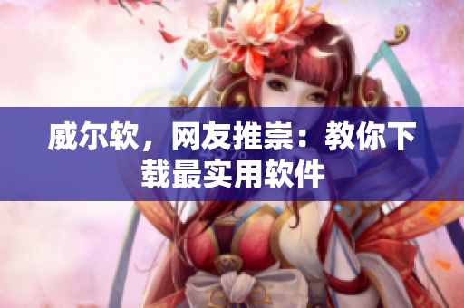 威爾軟，網(wǎng)友推崇：教你下載最實(shí)用軟件