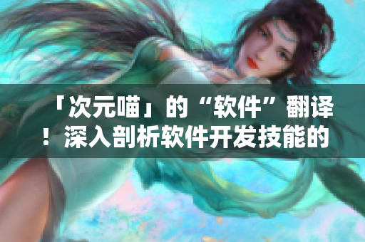 「次元喵」的“軟件”翻譯！深入剖析軟件開發(fā)技能的全息世界！