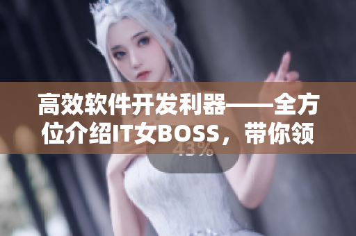 高效軟件開發(fā)利器——全方位介紹IT女BOSS，帶你領(lǐng)略軟件行業(yè)的魅力