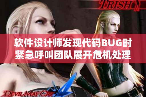 軟件設計師發(fā)現(xiàn)代碼BUG時緊急呼叫團隊展開危機處理