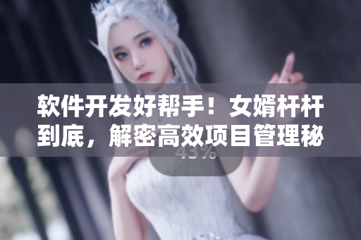 軟件開發(fā)好幫手！女婿桿桿到底，解密高效項(xiàng)目管理秘籍