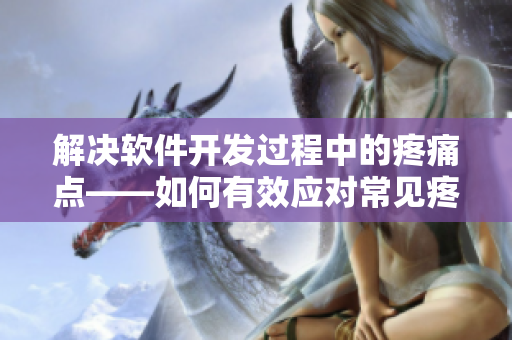 解決軟件開發(fā)過程中的疼痛點(diǎn)——如何有效應(yīng)對(duì)常見疼痛問題