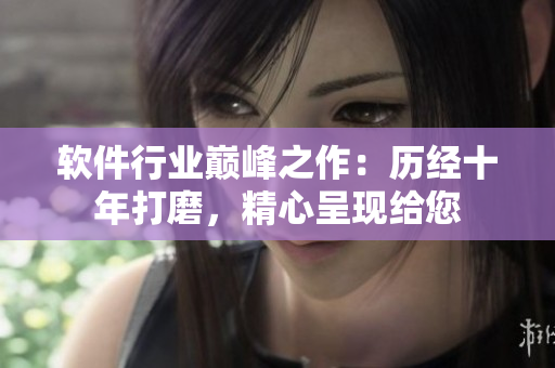 軟件行業(yè)巔峰之作：歷經(jīng)十年打磨，精心呈現(xiàn)給您