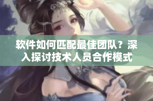 軟件如何匹配最佳團隊？深入探討技術人員合作模式