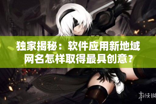 獨家揭秘：軟件應用新地域網(wǎng)名怎樣取得最具創(chuàng)意？