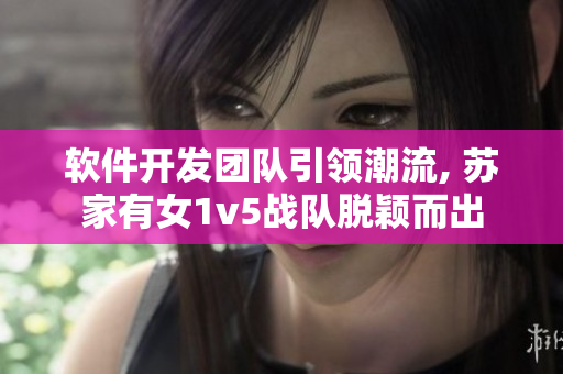 軟件開發(fā)團隊引領潮流, 蘇家有女1v5戰(zhàn)隊脫穎而出