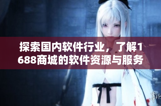 探索國內(nèi)軟件行業(yè)，了解1688商城的軟件資源與服務(wù)