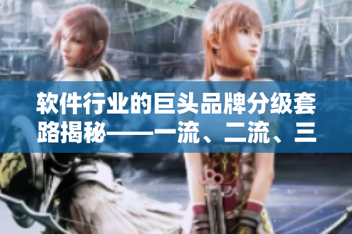 軟件行業(yè)的巨頭品牌分級套路揭秘——一流、二流、三流軟件公司你了解多少？