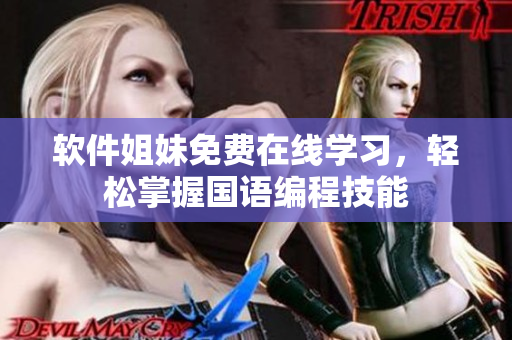 軟件姐妹免費(fèi)在線學(xué)習(xí)，輕松掌握國(guó)語(yǔ)編程技能