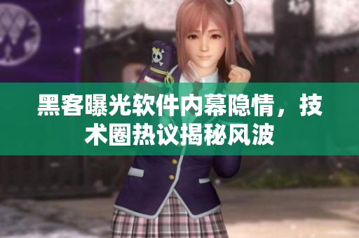 黑客曝光軟件內(nèi)幕隱情，技術(shù)圈熱議揭秘風波