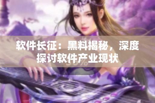 軟件長征：黑料揭秘，深度探討軟件產(chǎn)業(yè)現(xiàn)狀