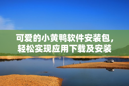 可愛的小黃鴨軟件安裝包，輕松實現應用下載及安裝