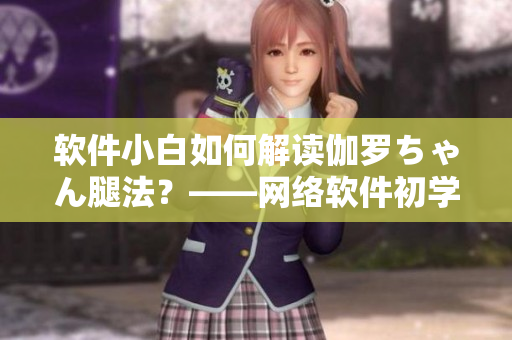 軟件小白如何解讀伽羅ちゃん腿法？——網(wǎng)絡(luò)軟件初學(xué)者的必備指南