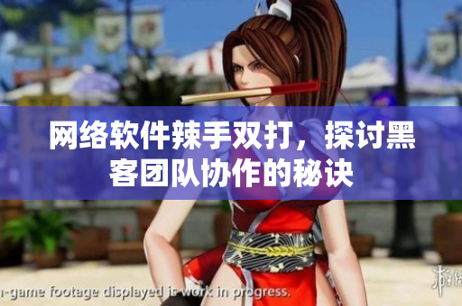 網(wǎng)絡(luò)軟件辣手雙打，探討黑客團(tuán)隊協(xié)作的秘訣