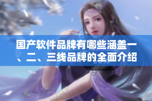 國(guó)產(chǎn)軟件品牌有哪些涵蓋一、二、三線品牌的全面介紹