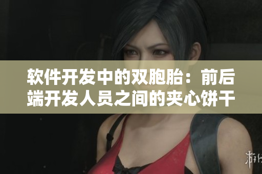 軟件開(kāi)發(fā)中的雙胞胎：前后端開(kāi)發(fā)人員之間的夾心餅干關(guān)系