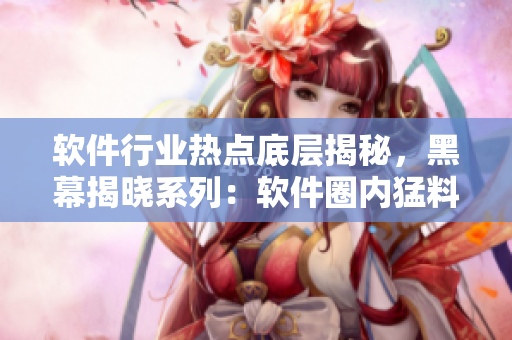 軟件行業(yè)熱點底層揭秘，黑幕揭曉系列：軟件圈內(nèi)猛料不息