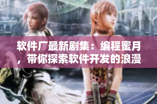 軟件廠最新劇集：編程蜜月，帶你探索軟件開(kāi)發(fā)的浪漫世界