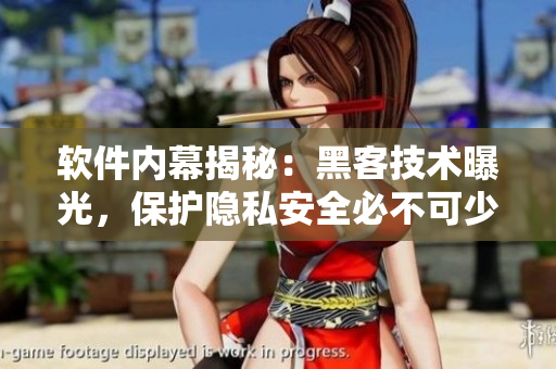 軟件內(nèi)幕揭秘：黑客技術(shù)曝光，保護(hù)隱私安全必不可少