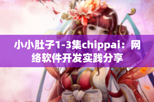 小小肚子1-3集chippai：網(wǎng)絡(luò)軟件開發(fā)實(shí)踐分享