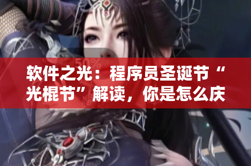 軟件之光：程序員圣誕節(jié)“光棍節(jié)”解讀，你是怎么慶祝的？