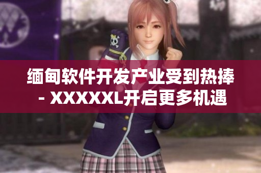 緬甸軟件開(kāi)發(fā)產(chǎn)業(yè)受到熱捧 - XXXXXL開(kāi)啟更多機(jī)遇