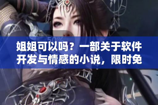 姐姐可以嗎？一部關(guān)于軟件開發(fā)與情感的小說，限時免費閱讀