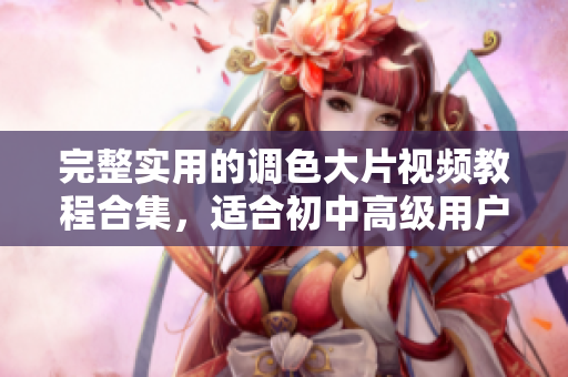 完整實(shí)用的調(diào)色大片視頻教程合集，適合初中高級(jí)用戶！