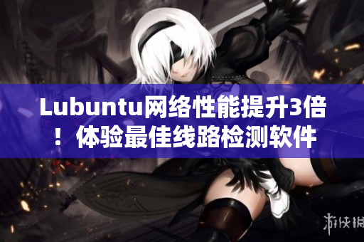 Lubuntu網(wǎng)絡(luò)性能提升3倍！體驗(yàn)最佳線路檢測軟件
