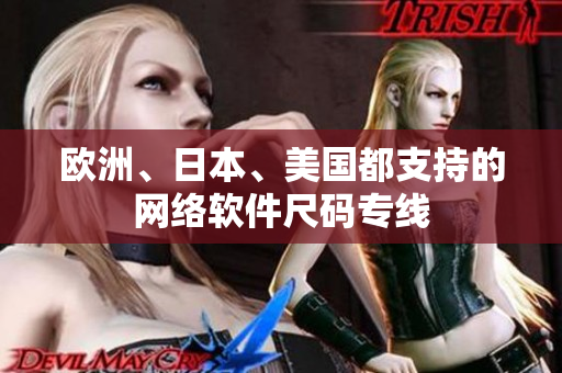 歐洲、日本、美國(guó)都支持的網(wǎng)絡(luò)軟件尺碼專(zhuān)線