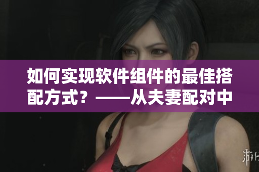 如何實(shí)現(xiàn)軟件組件的最佳搭配方式？——從夫妻配對(duì)中探索靈感