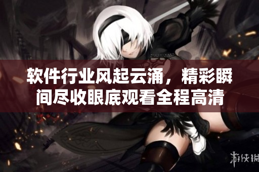 軟件行業(yè)風(fēng)起云涌，精彩瞬間盡收眼底觀看全程高清