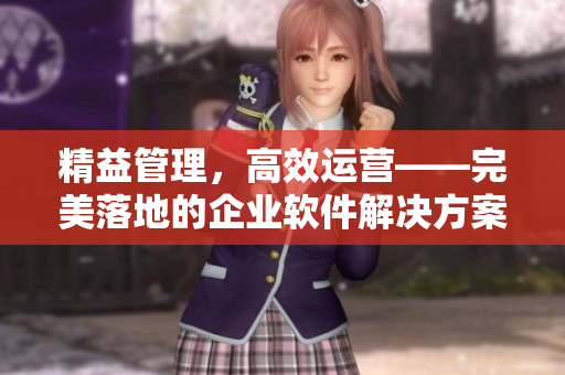 精益管理，高效運(yùn)營(yíng)——完美落地的企業(yè)軟件解決方案