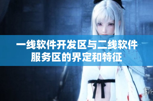 一線(xiàn)軟件開(kāi)發(fā)區(qū)與二線(xiàn)軟件服務(wù)區(qū)的界定和特征