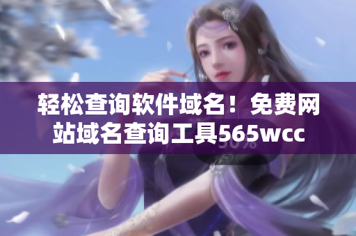 輕松查詢軟件域名！免費(fèi)網(wǎng)站域名查詢工具565wcc