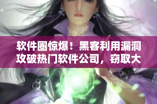 軟件圈驚爆！黑客利用漏洞攻破熱門(mén)軟件公司，竊取大量用戶(hù)信息！